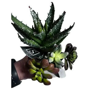 4 Various Artificial Succulents Faux Succulent Plants Home Garden Decor